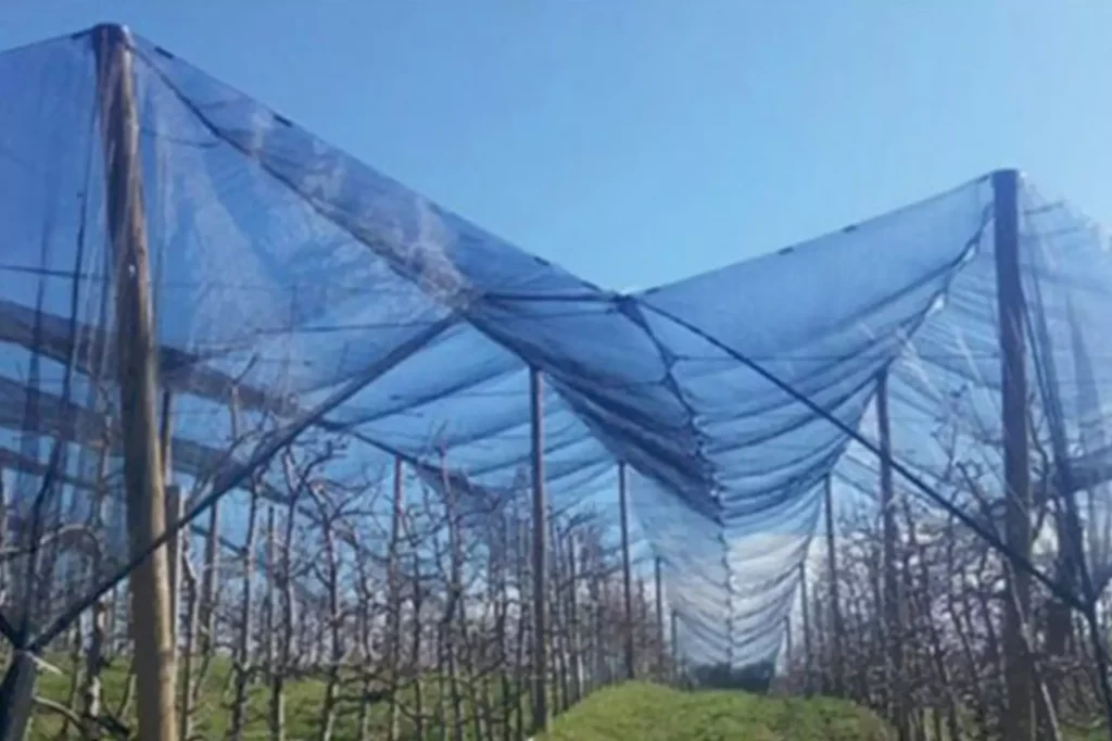 shade net