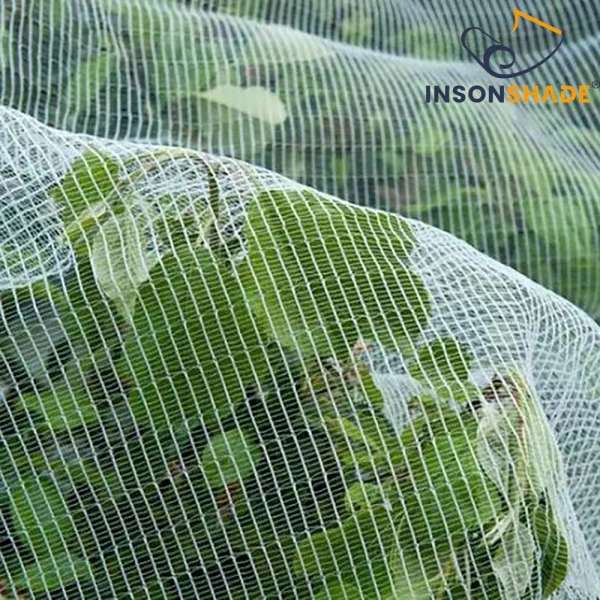 hail netting application