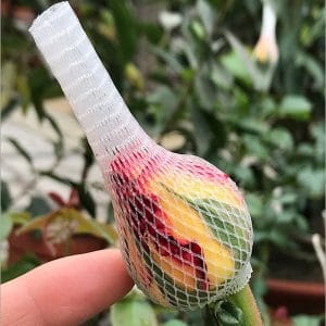 flower Packaging Net