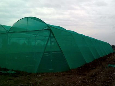 shade net house