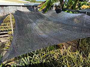 50% shade cloth