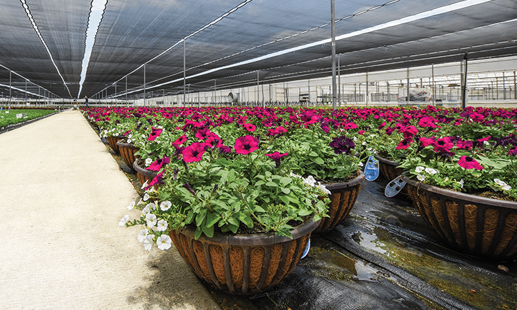 agricultural-shade-cloth