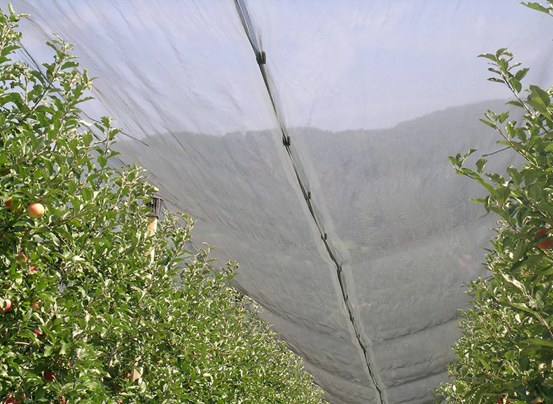 anti hail net for gardens
