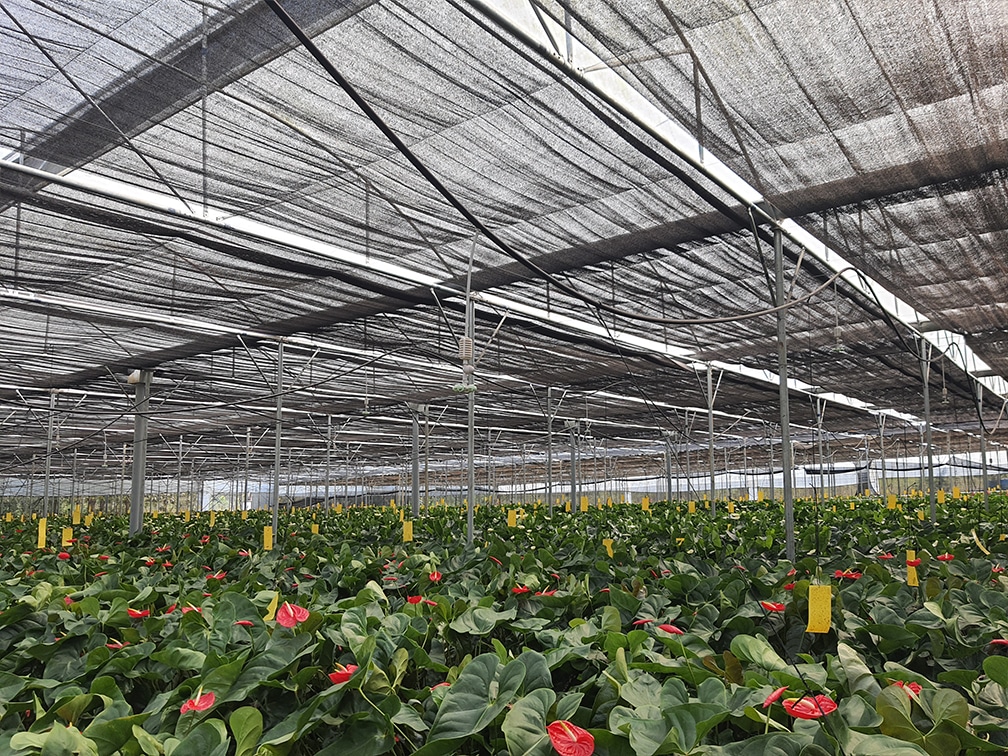 greenhouse shade cloth