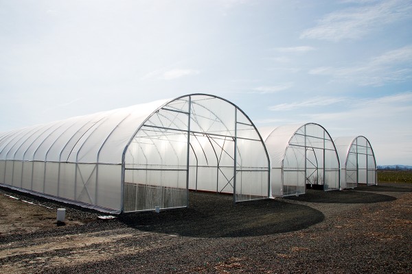 Choose insect netting based on greenhouse