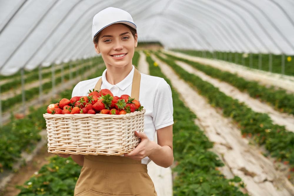 feature image of "How To Choose The Best Shade Cloth For Your Plants"