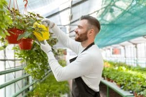 featured image for "7 reasons to buy shade cloth for greenhouses"