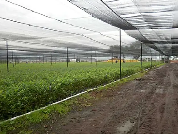 for agricultural shade netting