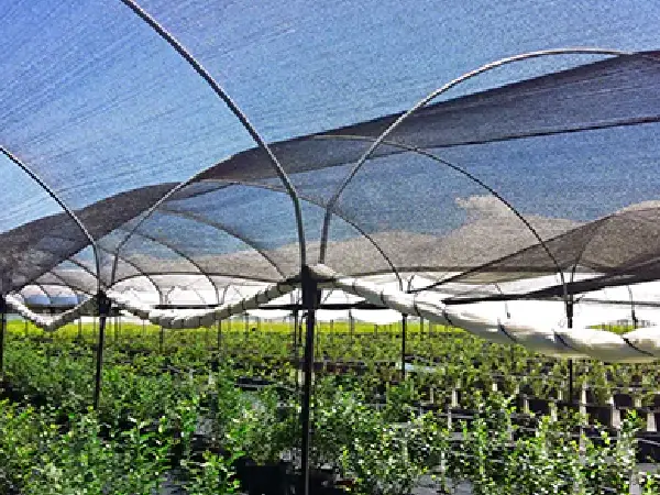 Greenhouse shade netting