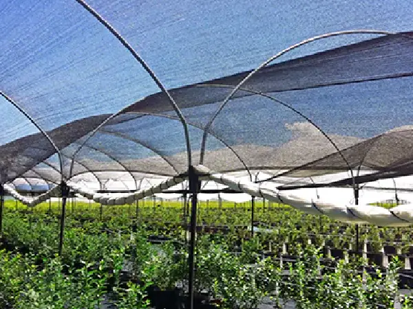 Horticultural Shade Cloth For Sale, Greenhouse Shade Cloth