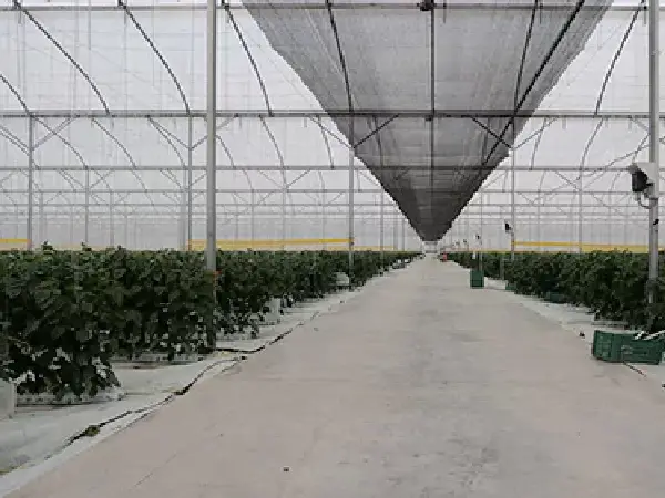 for greenhouse shading