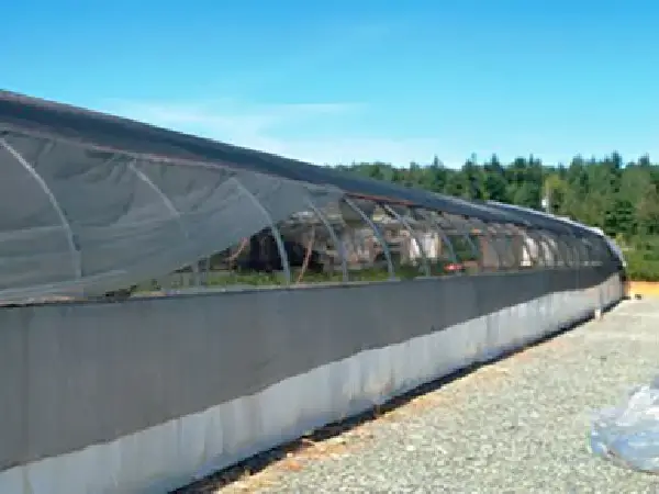 for greenhouse shading