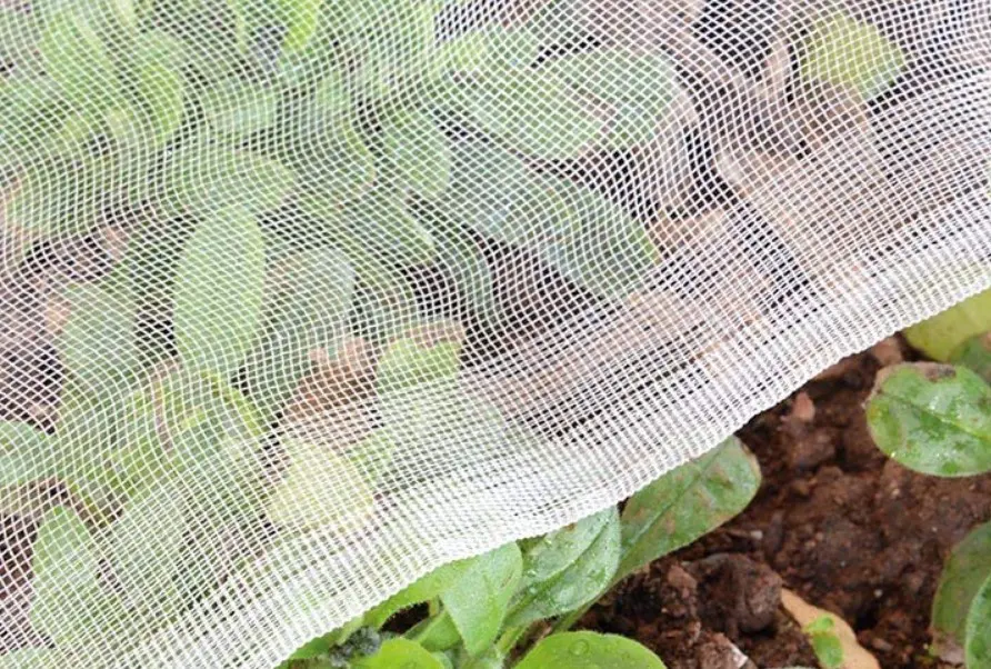 Insect Netting