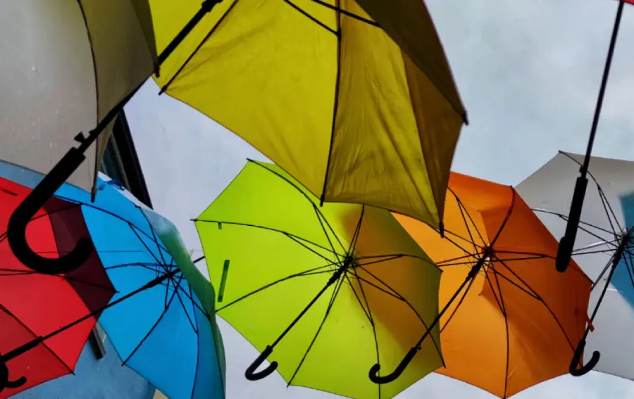 Use umbrellas to protect your plants from rain