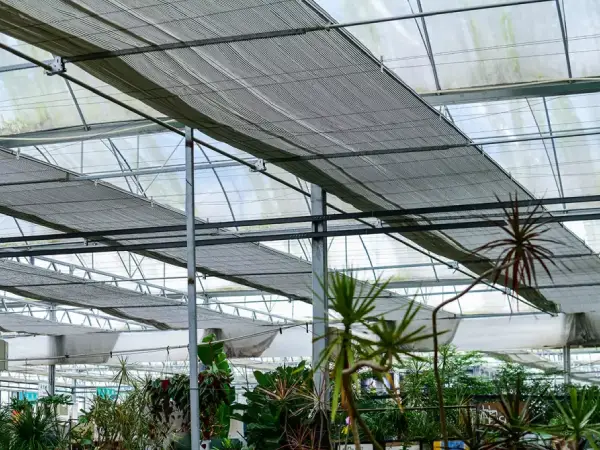 keep greenhouse cool
