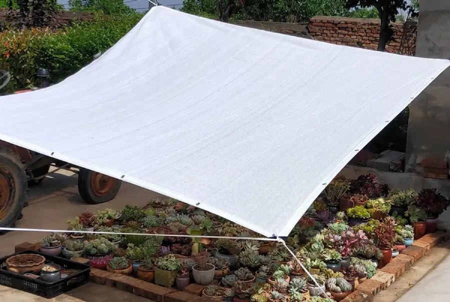 White Shade Cloth Application