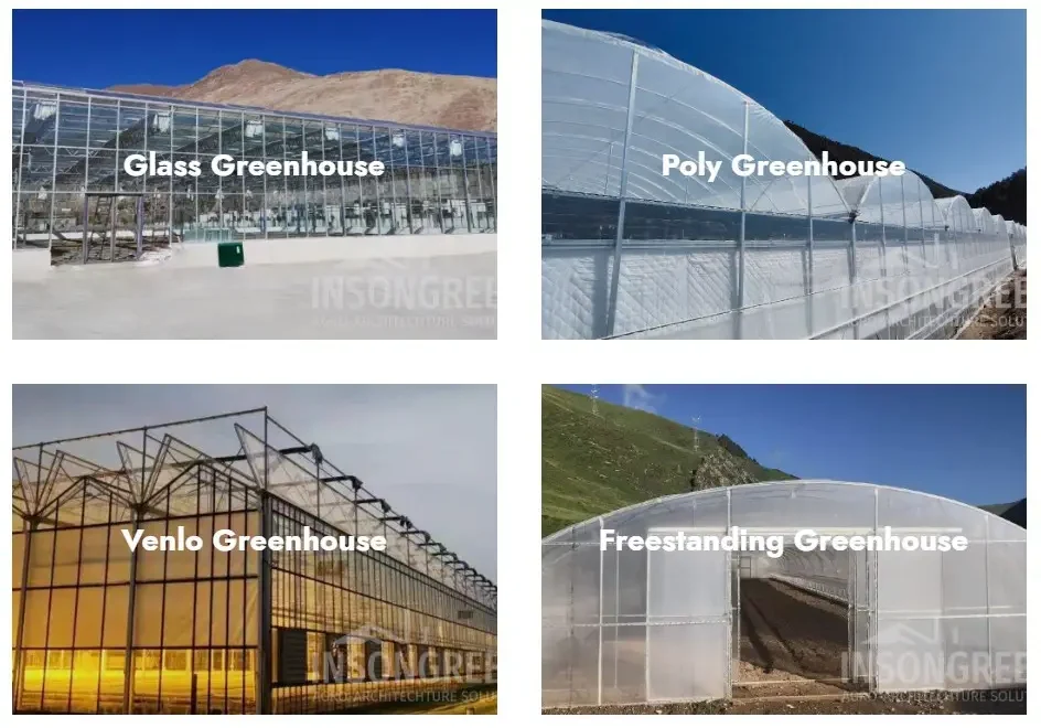INSONGREEN greenhouse projects