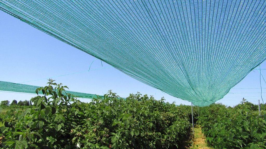 Green Shade Nets Suppliers