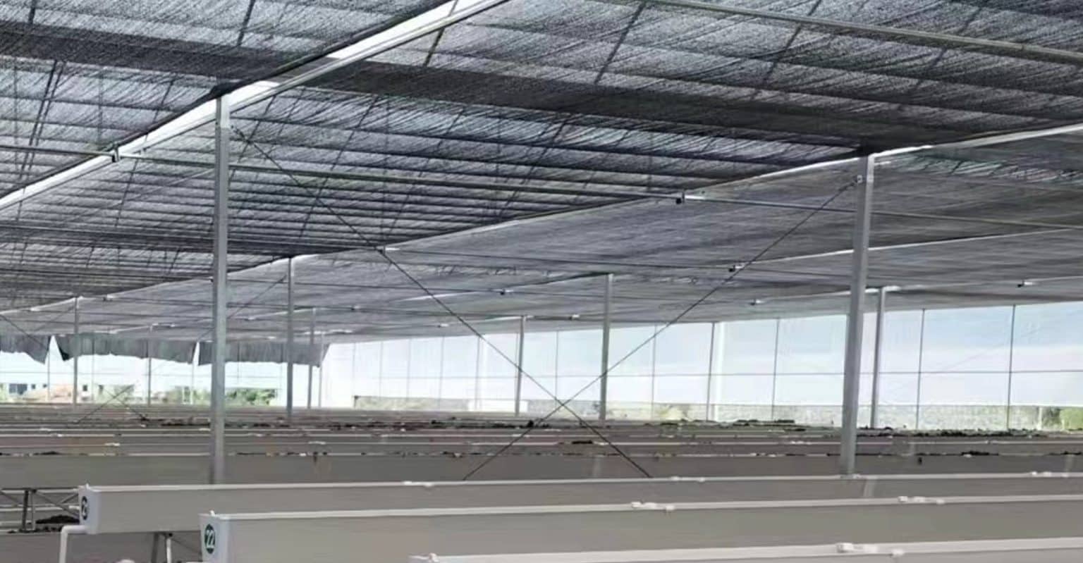 Choosing Best Shade Cloth for Greenhouse [2023 Updated] INSONSHADE