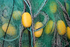 Tree Nets to Catch Falling Fruits