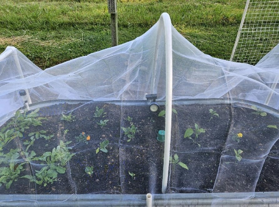 Best Insect Netting by Jorking Garden