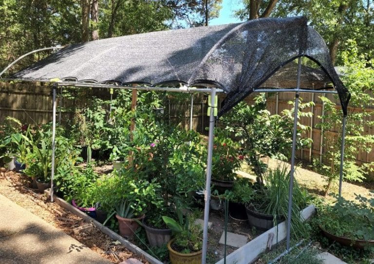 Pick Best Shade Cloth for Trees in Summer [2023 Ultimate Guide]