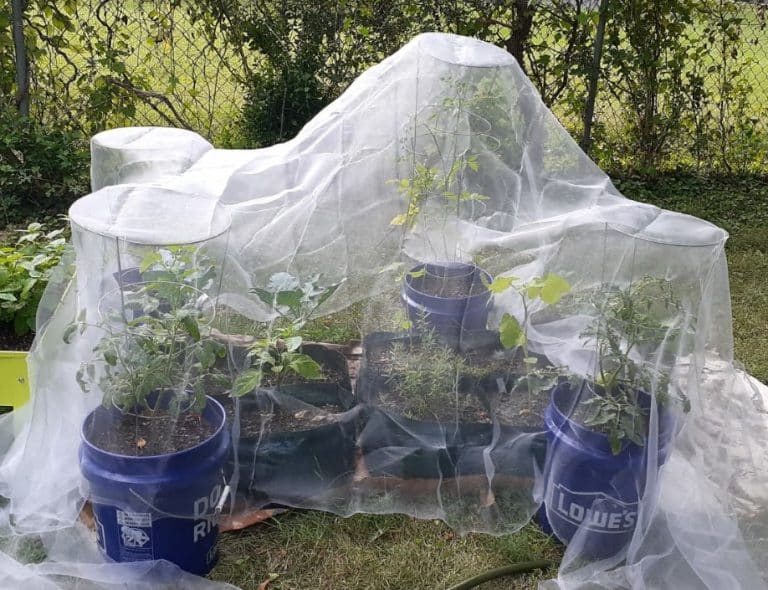 Best Insect Netting for Gardens Comprehensive Guide 2023 INSONSHADE