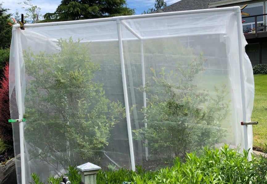 Garden Tailor Pest Netting