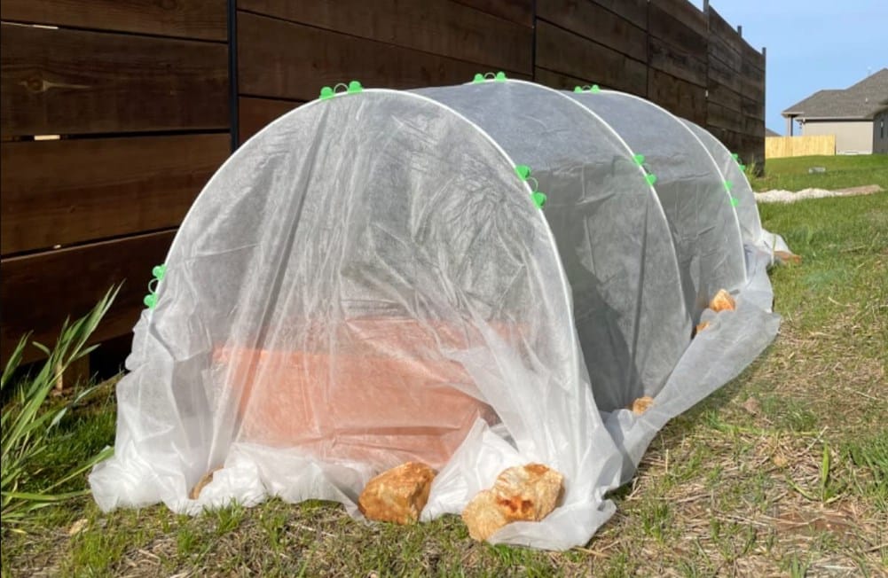 Garden fleece for tomato to protect from hail damage