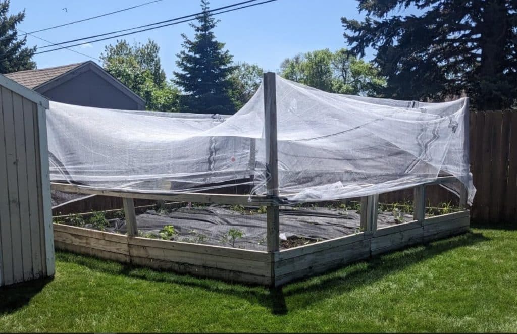 Garden hail netting idea