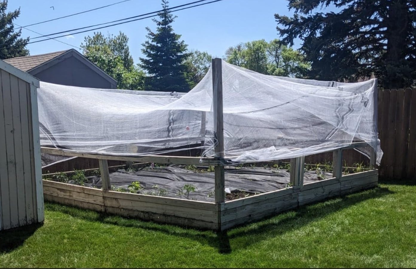 Best Hail Netting for Garden Planting 2023 Updated