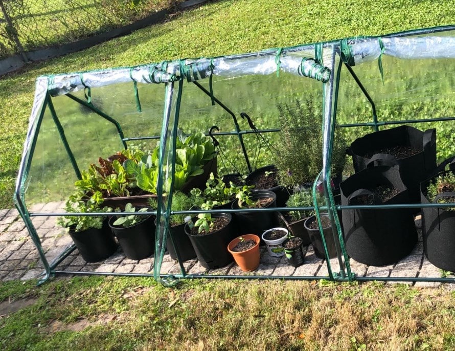 Quictent Mini Greenhouse