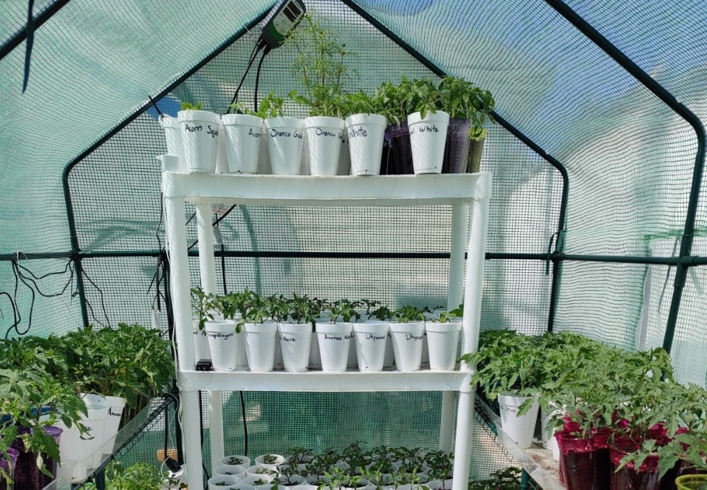 VIVOSUN Walk-in Portable Greenhouse
