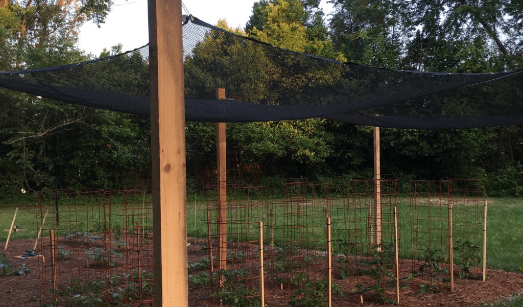 shade cloth for trees