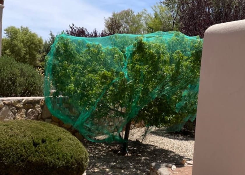 AlpineReach garden netting for fruit tree