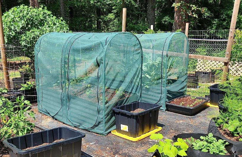 Portable pop up garden netting for blueberry