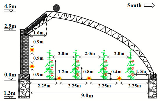 Schematic profile of a Chinese solar greenhouse