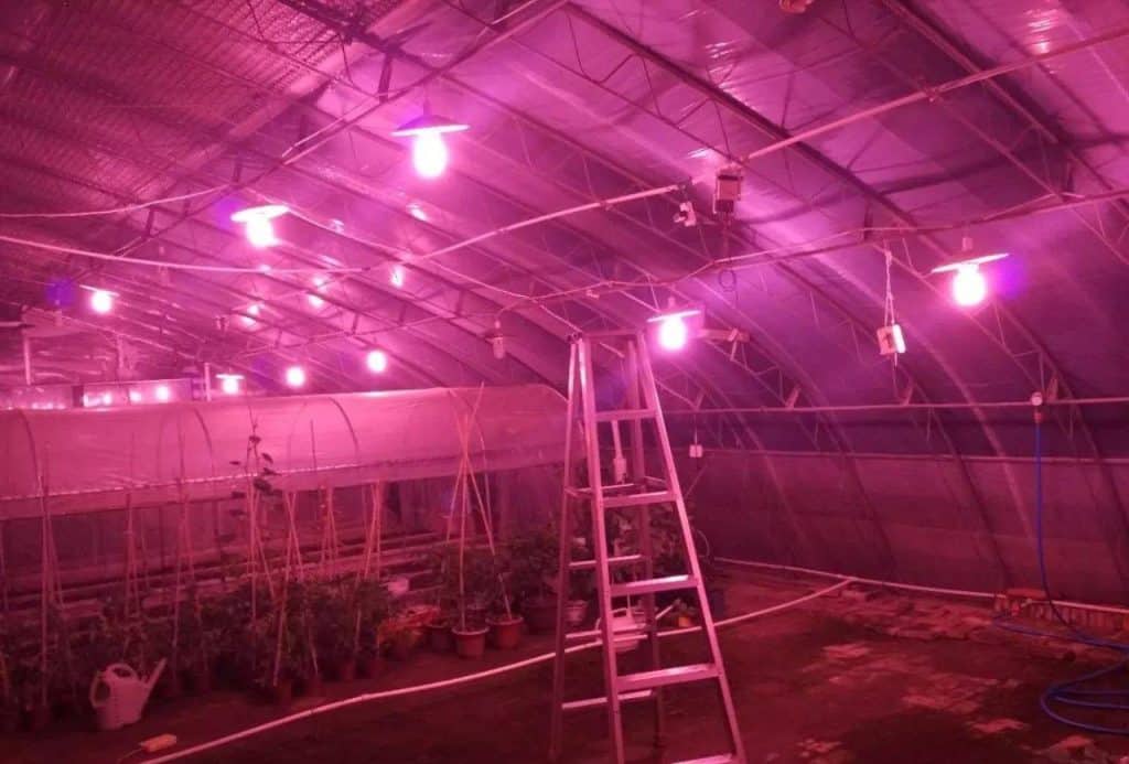 how to keep a greenhouse warm at cold night