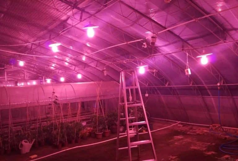 8-methods-to-keep-a-greenhouse-warm-at-cold-night-insonshade