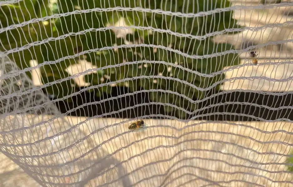 Agricultural Bee Netting