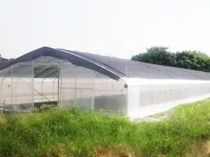 Shade covering for poly greenhouse