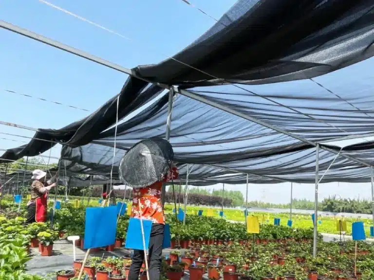 Shade structure for floriculture