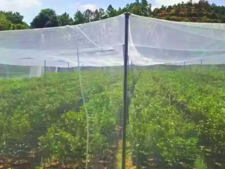 Anti-Insect Netting