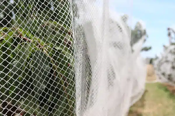 Bird and bat netting from Drape Net Austrilia