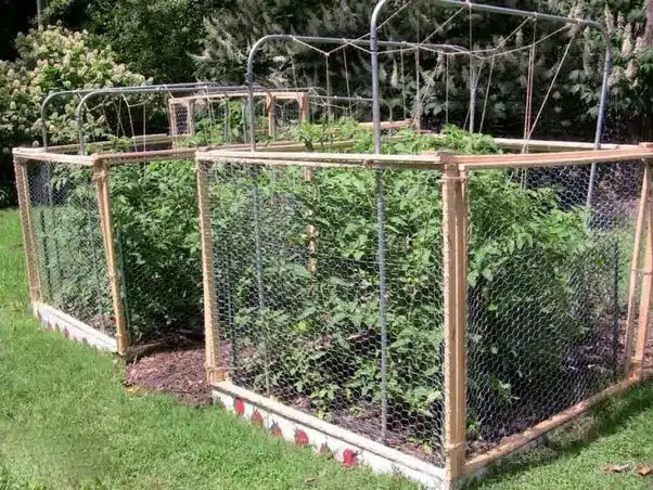 Tall fence for stopping squirrels