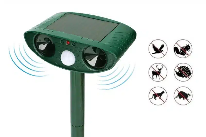 Ultrasonic devices used to anti-squirrels