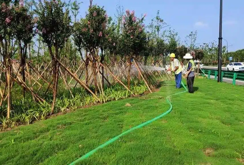 Deep Watering