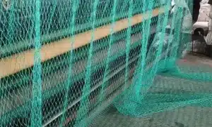 HDPE green bird netting