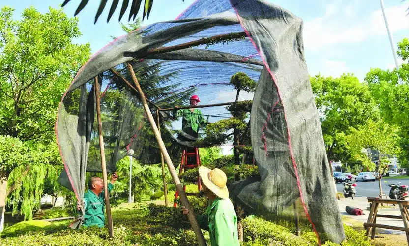 Temporary shade structure