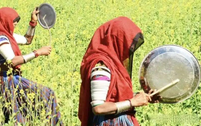 African women drive away locusts by banging a metal pan